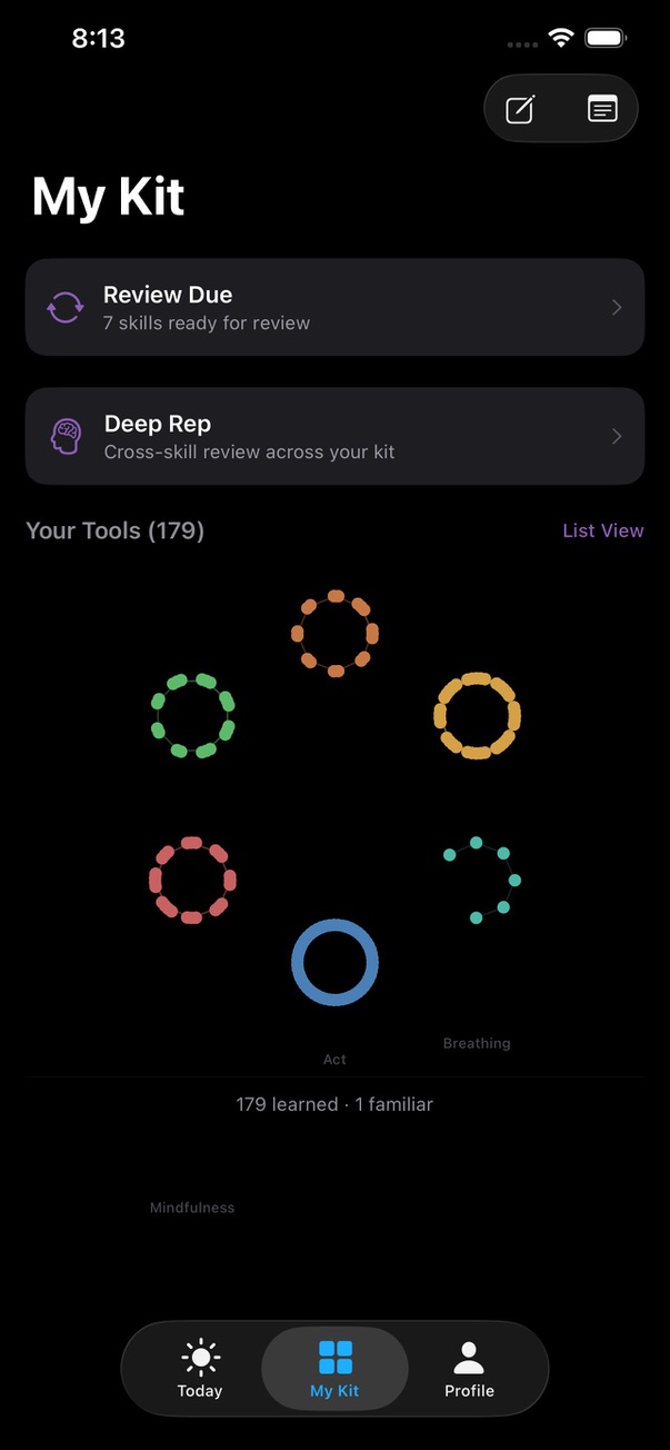 SteadyKit constellation view showing learned tools grouped by skill area
