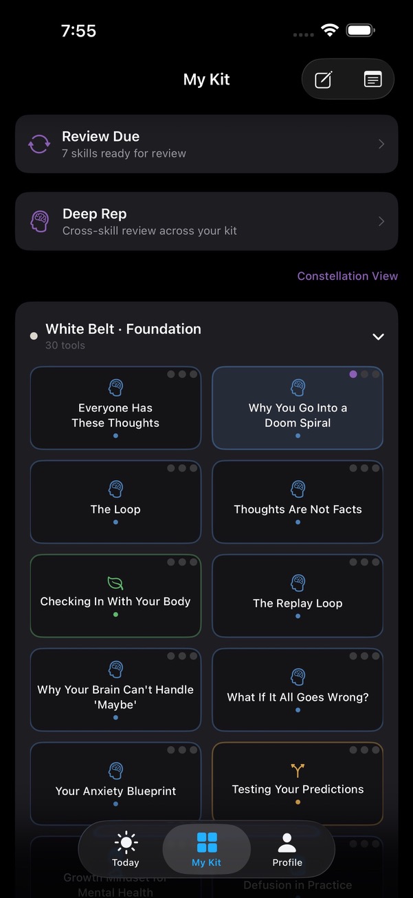 SteadyKit My Kit list view showing foundation skills and review prompts